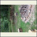 Fire pit area Fire pit area