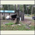 500 gallon propane and climbing tree to put pull cable on it.