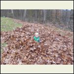 DSCN0881.JPG