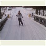 skiing