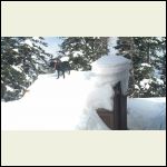 Gretta on storage shed roof