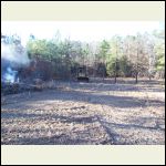 the clearing of the acre or so the clearing of the acre or so