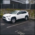 2019 RAV4 Hybrid