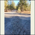 crossing road at sharp turn