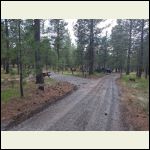 Looking down from upper area, trenched in middle of the road