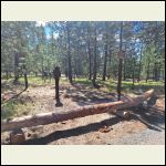 220V subpanel in woods