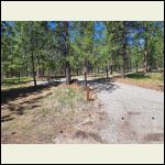 Site 6 best vies of camp and prettiest site and private