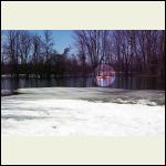 Paddling in the yard