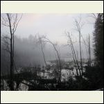 Foggy evening at the cabin Foggy evening at the cabin