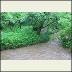 Its been very wet the creek is not normally this high or dirty