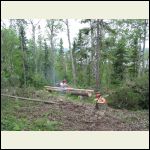 Saw Mill Saw Mill