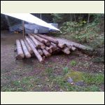 log pile dwindling