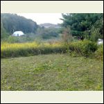 View NW from cabin site after clearing site