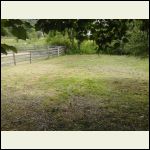 Neighbor's fence line