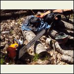 Cutting Some Trees. Cutting Some Trees.