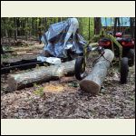 ATV, Log Arch, and Red Oak