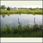Pond 1 (mobile home in view)