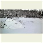 Beaver pond National Forest