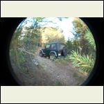 photo of my Jeep.one nanosecond after a chickadee left the limb