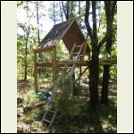 Kids tree house cabin