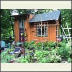 cabin_garden_june_20.jpg cabin_garden_june_20.jpg