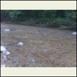 this stream is clear, clean and cold. great for cooling down in the summer this stream is clear, clean and cold. great for cooling down in the summer