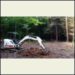 Clearing Clearing