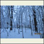 cold and snow. where is spring? cold and snow. where is spring?