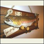 Mounted Lake Trout