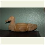 reed and wood duck form