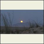 Moonrise in the desert