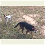 Molly in white and Emmy in black