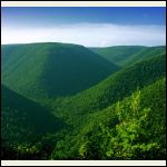 ElkStateForest ElkStateForest