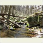 wildtroutstream wildtroutstream