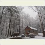 Photo of 2 inch snow hanging on trees form last night