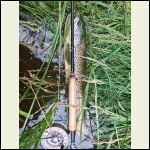 They were biting today They were biting today