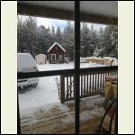 cosy looking out... cosy looking out...
