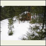 View of the cabin from the solar tree