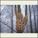 birdhouses001.jpg birdhouses001.jpg