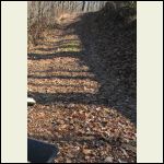 Driveway with 067 gravel and leaves