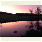 Sunset Sunset