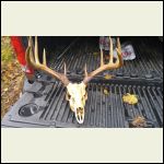 The wife's buck (jealous much) The wife's buck (jealous much)