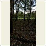 view_of_field.jpg view_of_field.jpg