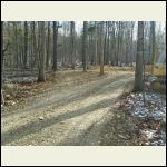 shale_for_driveway1..jpg