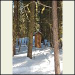 Snowy outhouse