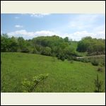 Top of property looking toward road entrance