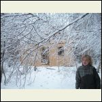 snow covered trees blocking the cabin