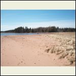 the boy and I took a break for walk on the beach .1st on on many to come ..................