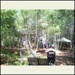 cabin and gazebo in side yard