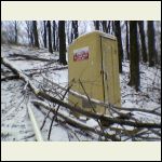 Tree shatters vent pipe